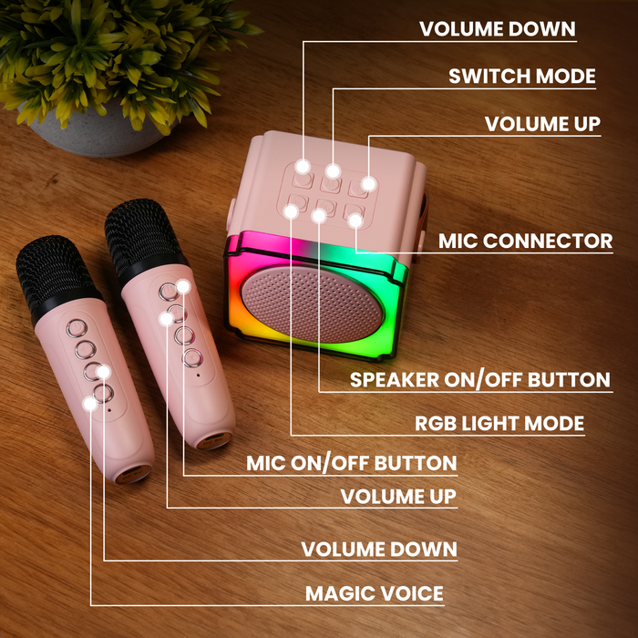 Mini Portable Karaoke Speaker With Dual Wireless Mic