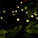 Solar Garden Lights - OddTech Store